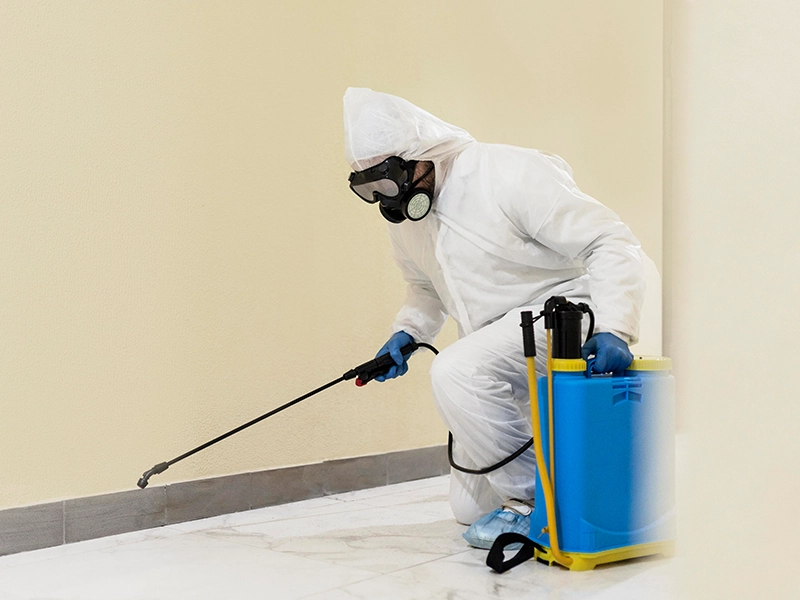 Dedetização de Insetos Rasteiros